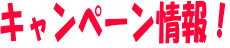 キャンペーン情報！